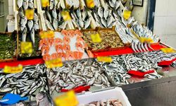 Su Ürünleri Satış Noktalarına Düzenli Denetim