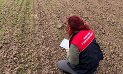 Pehlivanköy’de Arpa Demonstrasyon Alanlarında Teknik Kontrol