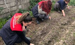 Pehlivanköy’de Salep Ekiliş Alanlarında Teknik İnceleme