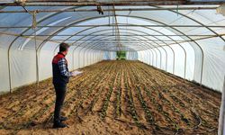 Babaeski’de Sera Alanlarında KOBÜKS Kayıt Çalışması