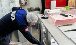 Pınarhisar’da Gıda İşletmelerine Kapsamlı Denetim