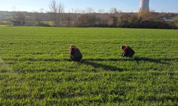 Hububat Ekiliş Alanlarında Teknik Kontroller Yapıldı