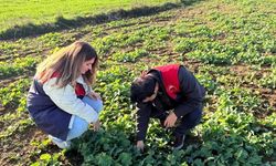 Kofçaz’da Kanola Ekiliş Alanları Denetlendi