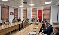 Halk Sağlığı Çalışmaları Çevrimiçi Toplantıda Değerlendirildi