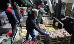 İğneada Balıkçı Barınağı’nda Su Ürünleri Denetimi