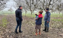 Lüleburgaz’da Ceviz İşletmesine İyi Tarım Denetimi