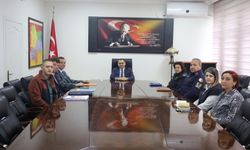 Sahipsiz Sokak Hayvanları Masaya Yatırıldı