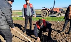 Pehlivanköy’de Hünnap Yetiştiriciliğine Teknik Destek