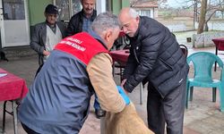 Evcil Hayvanlara Mikroçip ve Kuduz Aşısı Uygulaması