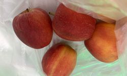 Elma Sofraların Vazgeçilmezi Olmaya Devam Ediyor