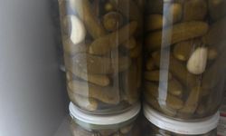 Kış Sofraları Ev Yapımı Turşularla Şenlendi