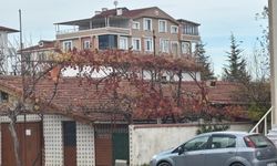 Kırklareli’nde Asmalar Renk Cümbüşü Oluşturdu