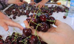 15 Aralık'ta okullarda "Coğrafi İşaret Günü" kutlanacak