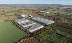 Tekirdağ'da 70 futbol sahası büyüklüğünde sera naylonu dağıtıldı