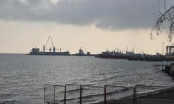 Edirne, Tekirdağ ve Kırklareli'nin Ekim ayı dış ticaret rakamları açıklandı