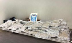 Türkiye'ye sokulmak istenen 22 kilo 560 esrar sınırda yakalandı