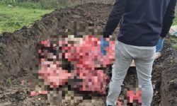 Tekirdağ'da 1 ton menşei belirsiz hayvansal ürün imha edildi