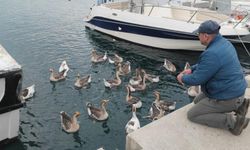 Şarköy'ün maskotu 'Vakvaklar'