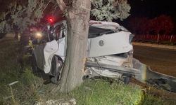 Tekirdağ'da ağaca çarpan otomobilin sürücüsü yaralandı