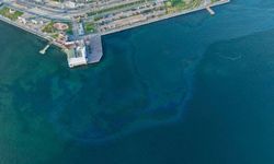 İzmir Körfezi'nde çevre kirliliği