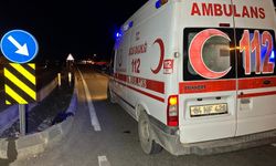 Uşak'ta feci kaza: Otomobilin çarptığı 3 kişi hayatını kaybetti