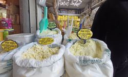 Kaliteli peynir kokusundan anlaşılır