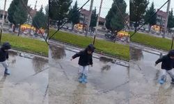 Tavşanlı'da orta refüjdeki ağaca çarpan otomobildeki 2 kişi yaralandı