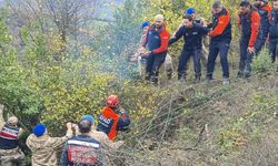 Düştüğü çalılık mezarı oldu