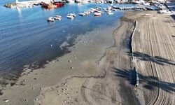 Tekirdağ'da deniz 20 metre çekildi, sahil havadan görüntülendi