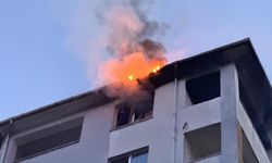 Edirne’de dairede çıkan yangın çatıya sıçradı