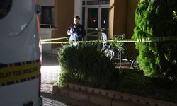 Karısını 22 bıçak darbesiyle öldüren zanlı, "Kolumda Ebru yazıyor" diye kendini savundu