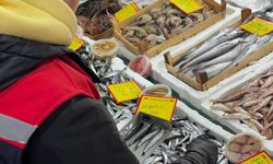 Tekirdağ'da perakende balık satış noktalarına sıkı denetim