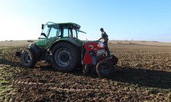 Edirne'de mera ıslah projeleri ile hayvancılığa destek