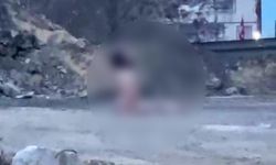 Köprü altında akıllara durgunluk veren görüntüler