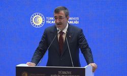 Cumhurbaşkanı Yardımcısı Yılmaz: "Ocak ayı enflasyon rakamıyla birlikte enflasyonda 20'li rakamları göreceğiz"