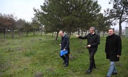 Tarihi Seferşah köprü alanı yeniden hayat buluyor