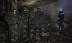 Alanya'da muz sarartma tesisinde yangın: Tonlarca muz zarar gördü