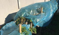 Kırklareli’nde Bahçelerde Don Önlemi