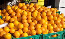 Portakal Kışla Birlikte Tezgâhlarda