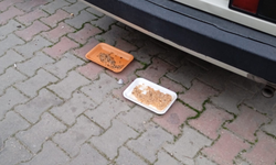 Kırklareli’nde Sokak Hayvanları Unutulmuyor