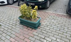 Kaldırım ve Dükkan Önlerine Estetik Dokunuş