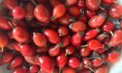 Soğuk Havalara Karşı Kuşburnu Çayı Tercih Ediliyor