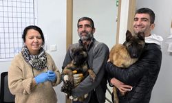 Kimliklendirme Çalışmaları Sürüyor