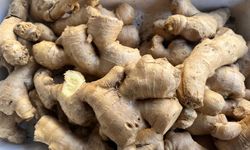 Sağlık İçin Zencefil Kullanılıyor