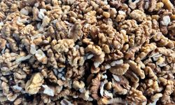 Sağlığa Ceviz Katkısı