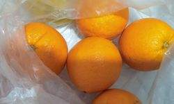 Kış Aylarında Portakal Öne Çıkıyor