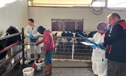 Hayvancılık İşletmelerinde Rutin Kontroller Sürüyor
