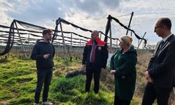 Ovacık Köyü’nde Elma Üretim Tesisine Ziyaret