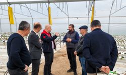Kırklareli’nde Çilek Üretimine Yerinde İnceleme