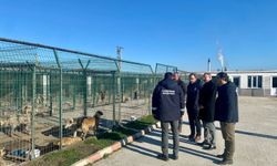 Pınarhisar’da Geçici Hayvan Bakım Merkezinde İnceleme